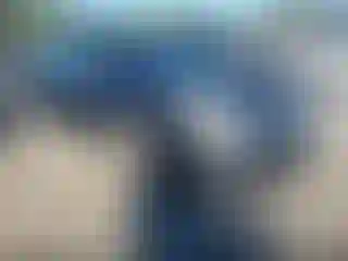 Vehicle Image- 2011 Nissan Altima