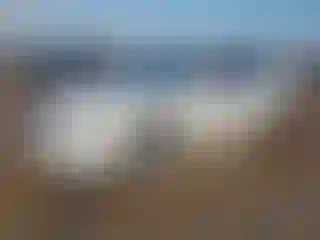 Vehicle Image- 2010 Nissan Altima