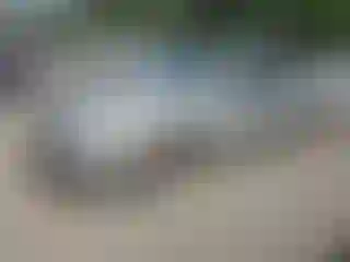 Vehicle Image- 2010 Nissan Altima