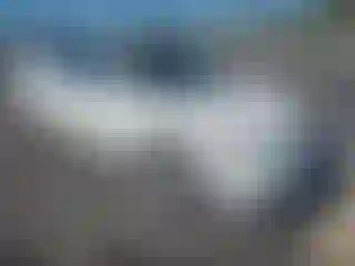 Vehicle Image- 2010 Nissan Altima