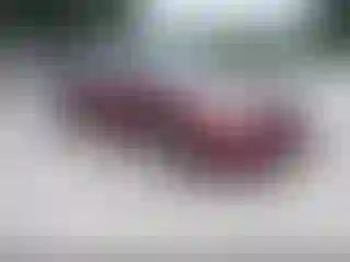 Vehicle Image- 2010 Nissan Altima