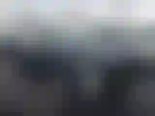 Vehicle Image- 2010 Nissan Altima