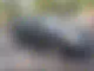 Vehicle Image- 2010 Nissan Altima