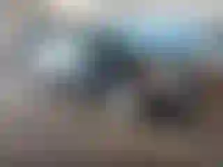 Vehicle Image- 2011 Nissan Altima