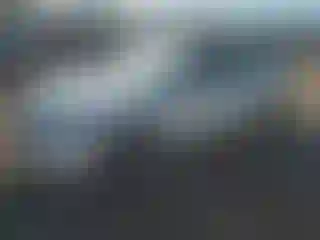 Vehicle Image- 2010 Nissan Altima