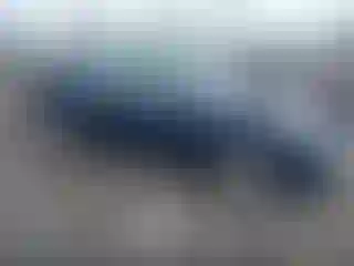 Vehicle Image- 2010 Nissan Altima