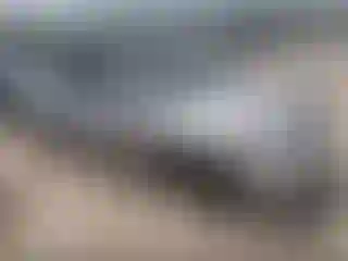 Vehicle Image- 2010 Nissan Altima