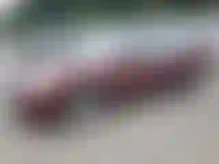 Vehicle Image- 2010 Nissan Altima
