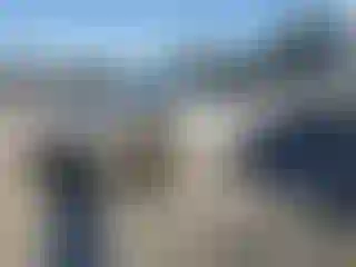 Vehicle Image- 2011 Nissan Altima