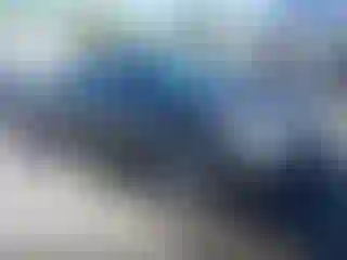 Vehicle Image- 2010 Nissan Altima