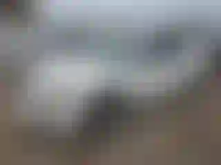 Vehicle Image- 2013 Nissan Altima