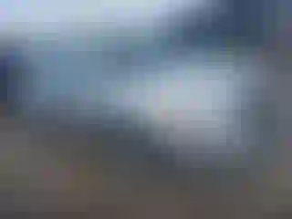 Vehicle Image- 2013 Nissan Altima