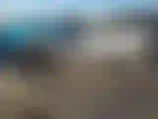 Vehicle Image- 2013 Nissan Altima