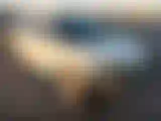 Vehicle Image- 2013 Nissan Altima