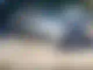 Vehicle Image- 2017 Nissan Altima