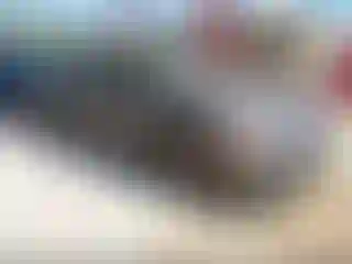 Vehicle Image- 2014 Nissan Altima