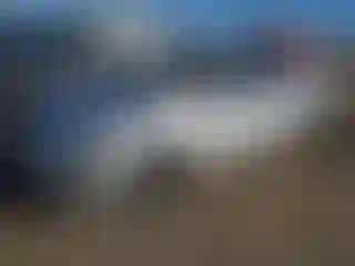 Vehicle Image- 2015 Nissan Altima