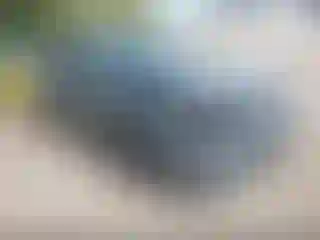 Vehicle Image- 2016 Nissan Altima