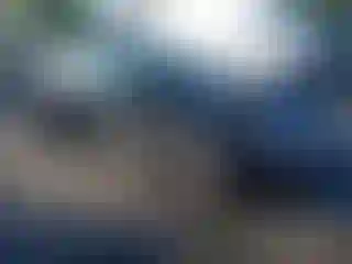 Vehicle Image- 2017 Nissan Altima