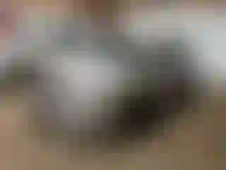 Vehicle Image- 2018 Nissan Altima