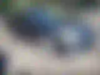 Vehicle Image- 2013 Nissan Altima