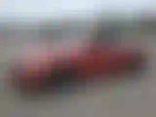 Vehicle Image- 2013 Nissan Altima