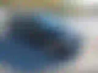 Vehicle Image- 2015 Nissan Altima