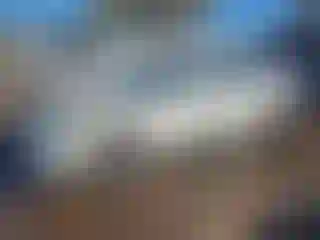 Vehicle Image- 2017 Nissan Altima