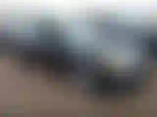 Vehicle Image- 2017 Nissan Altima