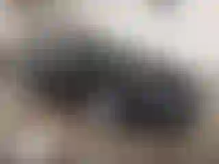 Vehicle Image- 2018 Nissan Altima