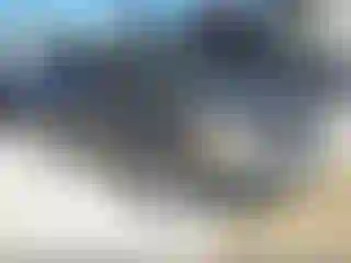 Vehicle Image- 2013 Nissan Altima