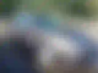 Vehicle Image- 2013 Nissan Altima