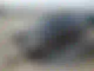Vehicle Image- 2014 Nissan Altima