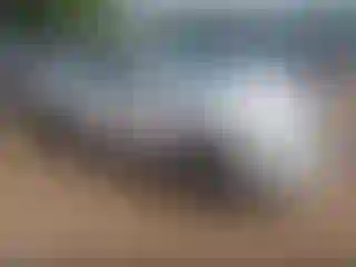 Vehicle Image- 2013 Nissan Altima