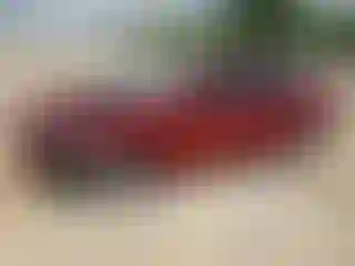 Vehicle Image- 2014 Nissan Altima
