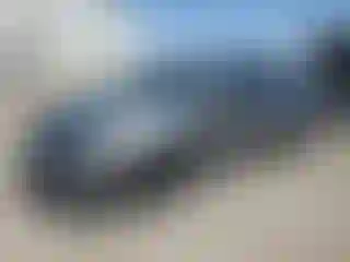 Vehicle Image- 2014 Nissan Altima
