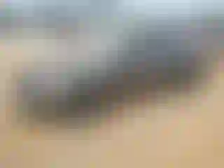 Vehicle Image- 2015 Nissan Altima