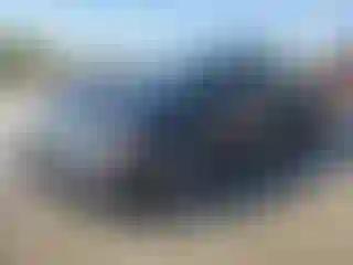 Vehicle Image- 2013 Nissan Altima