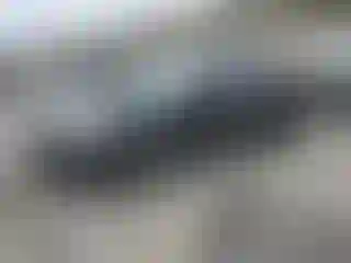 Vehicle Image- 2008 Nissan Altima
