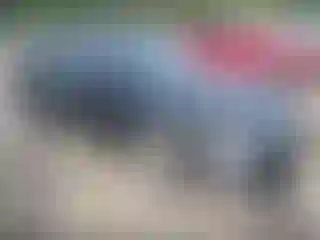 Vehicle Image- 2013 Nissan Altima