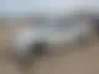 Vehicle Image- 2017 Nissan Altima