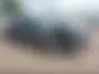 Vehicle Image- 2017 Nissan Altima