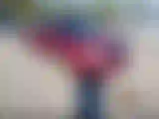 Vehicle Image- 2017 Nissan Altima