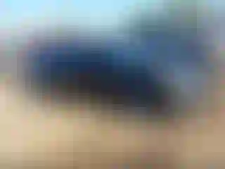 Vehicle Image- 2015 Nissan Altima