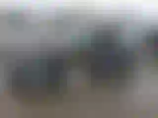 Vehicle Image- 2015 Nissan Altima