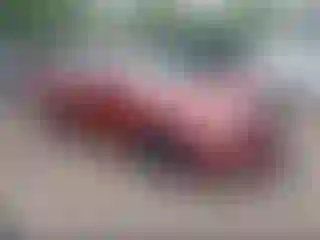 Vehicle Image- 2013 Nissan Altima