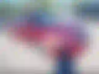 Vehicle Image- 2013 Nissan Altima