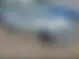 Vehicle Image- 2013 Nissan Altima