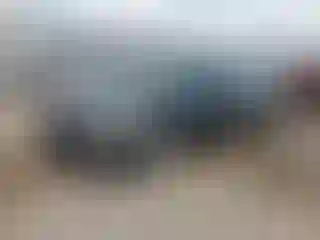 Vehicle Image- 2014 Nissan Altima