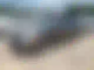 Vehicle Image- 2014 Nissan Altima